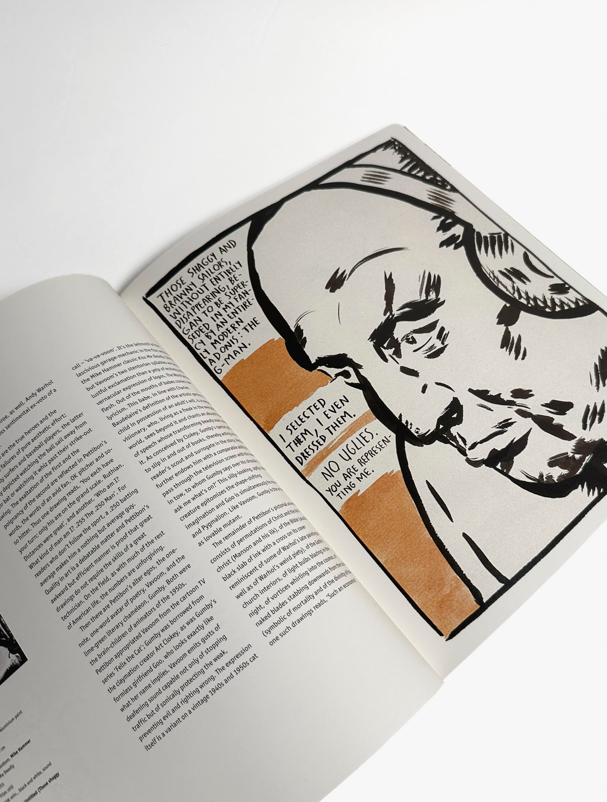 Raymond Pettibon, Phaidon book