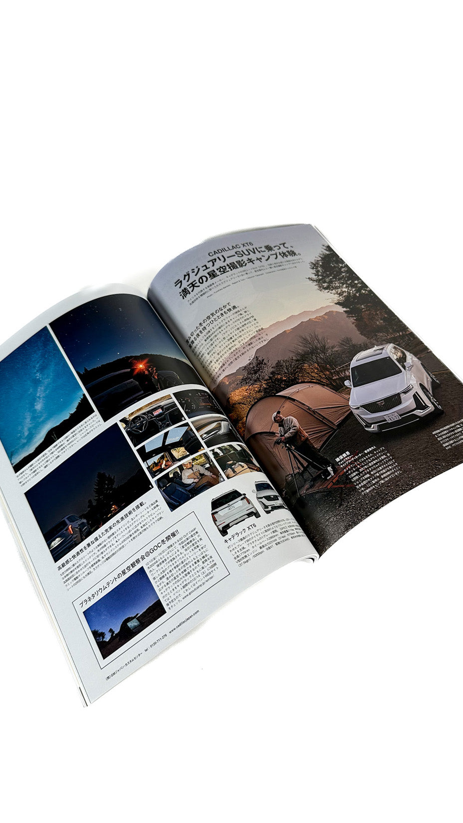 Go Out Japan Magazine, vol. 183 / January 2025