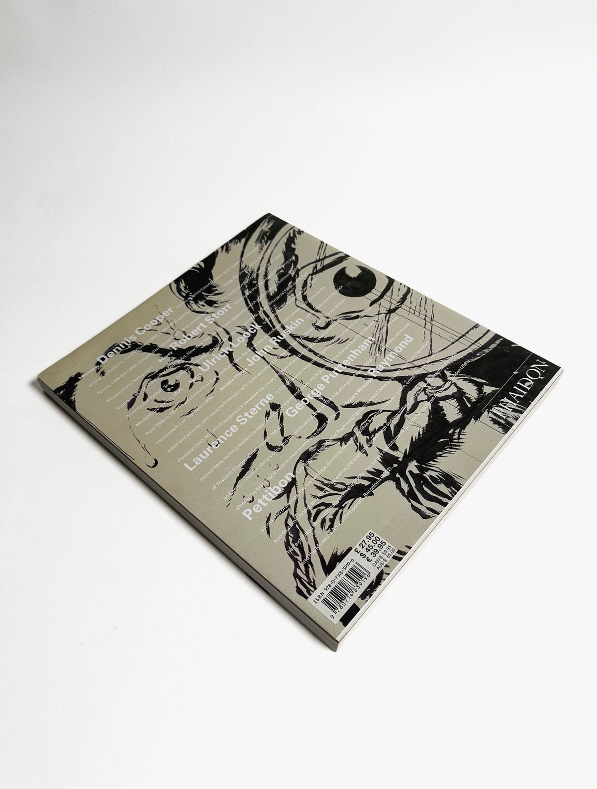 Raymond Pettibon, Phaidon book